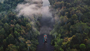 Brazil Attempts to Clean up the Amazon Rainforest